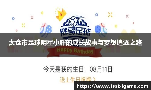 太仓市足球明星小胖的成长故事与梦想追逐之路